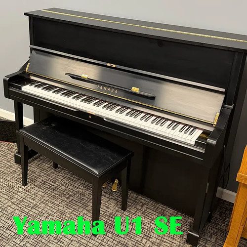 1999 yamaha satin ebony - 1999,