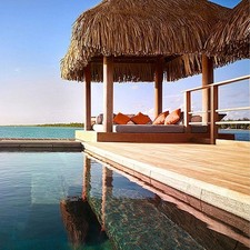 Rouleau De Toit En Chaume De