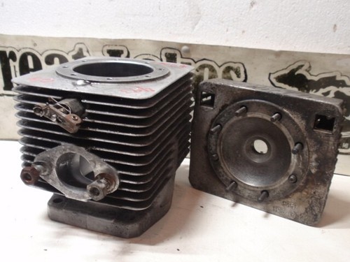 Hirth 493 500 - , snowmobile