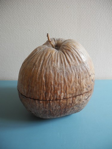 Ancien seau glaçons noix coco - ancien,