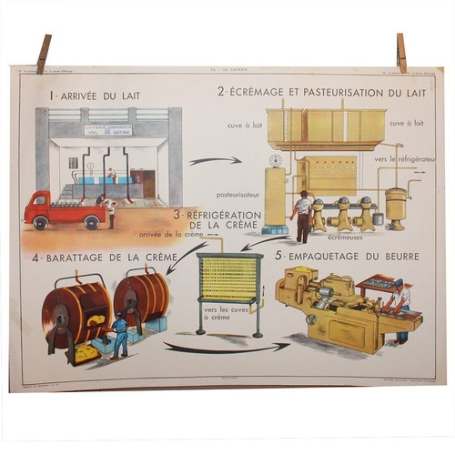 Affiche scolaire rossignol - affiche,