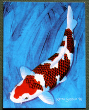 KOROMO   KOI CARP   Illustrated Fish Card