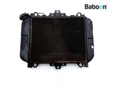 Radiateur Kawasaki KR-1 250