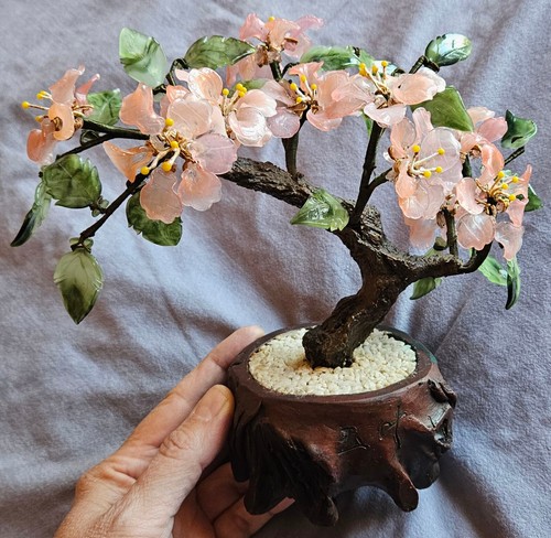 Bonsai cerisier fleur verre - bonsai,