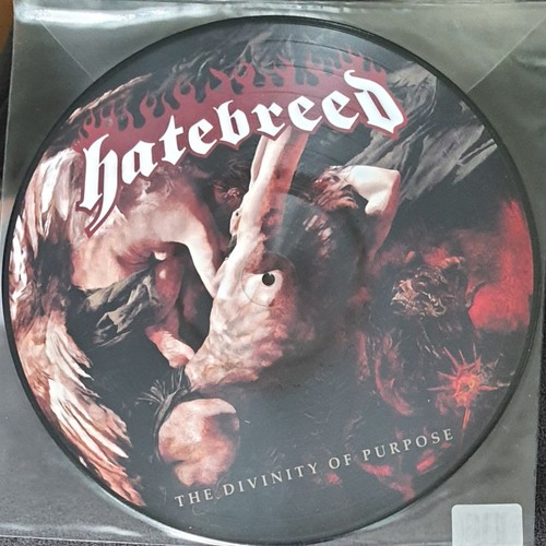 Hatebreed the divinity of - hatebreed,