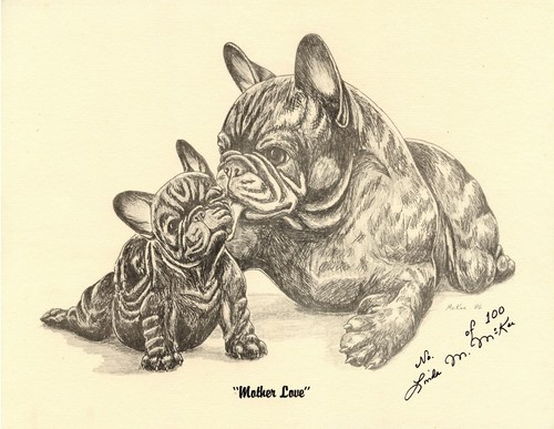 French bulldog dog fine art - bulldog,