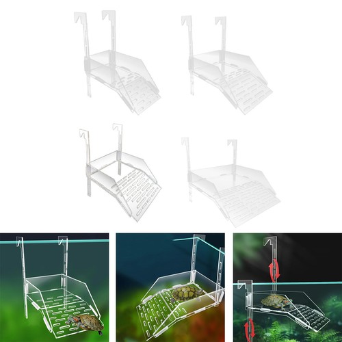 Tortue basking platform bask - tortue,
