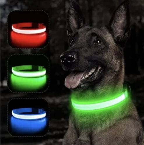 Collier chien lumineux - lumineux, led