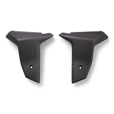 Ecopes de radiateur carbone