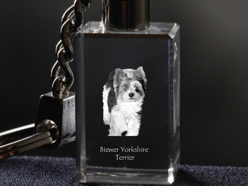 Biewer terrier porte - biewer, terrier,