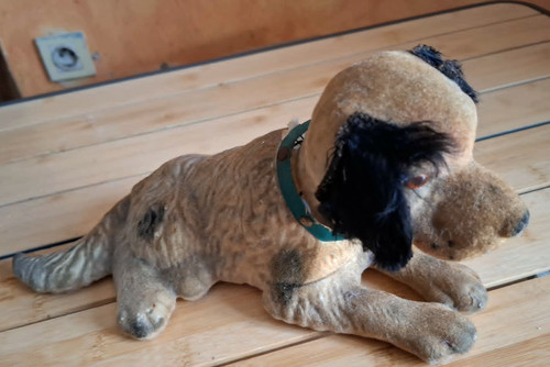 Ancien grand chien - ancien,