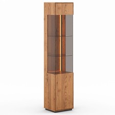 Vitrine Collodi En Verre