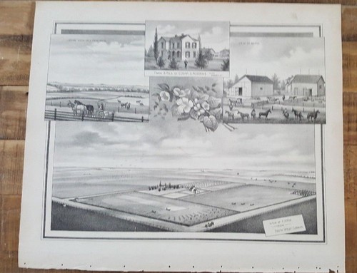 Ancien acier gravure - ancien,