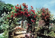 94 L HAY LES ROSES LA ROSERAIE