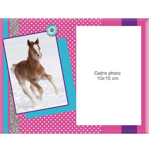 Cadre photo cheval - photo,