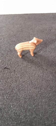 Animal marcassin petit - animal,