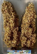 1 peuplier automne 20 cm