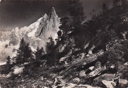 Chamonix aiguille dru et - 74,