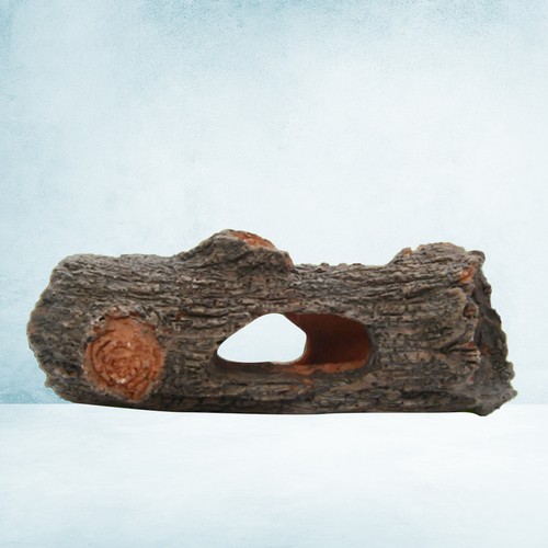 Tronc arbre pour - d'arbre,