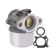 Carburetor For Briggs Stratton 799868 799872 790821 694202 693909 692648 698444