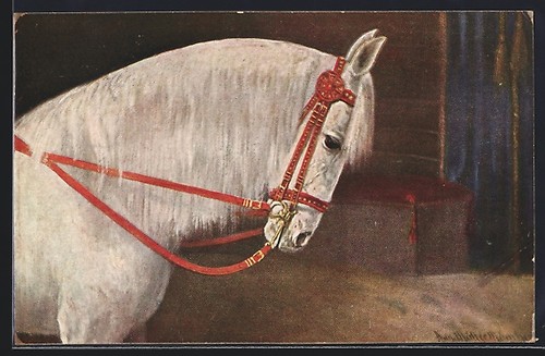 Moisissure avec bride rouge