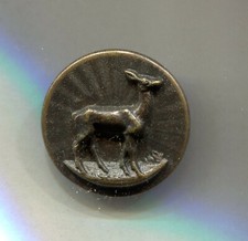 Antique Hunting Button T W&W. Deer. old button. Running hunt. Hunter