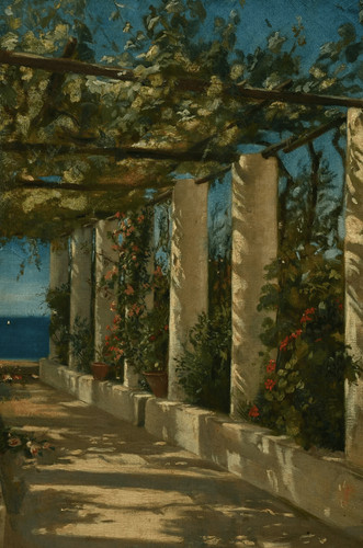 Pergola tonnelle vers - pergola, la