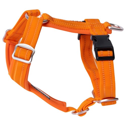 Paikka harnais pour chien easy - harnais,