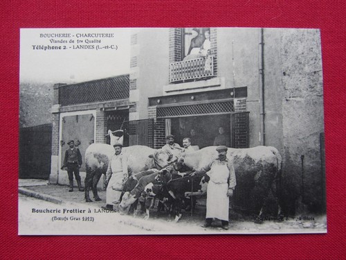 Cpa landes gaulois 41 - cpa, 41-