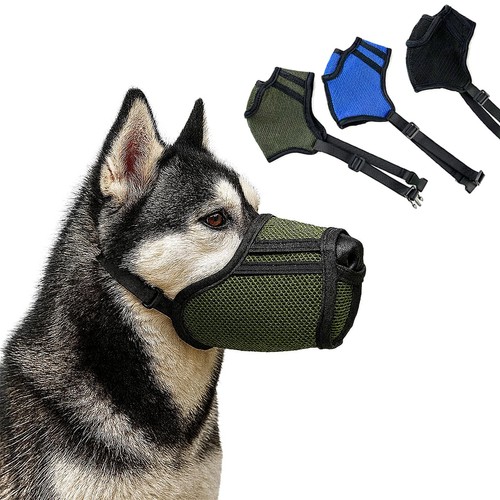 Muselière pour chien - muselière,