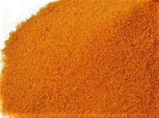 CYSTES D'ARTEMIAS SALINA