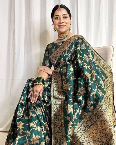 Magnifique chemisier sari - magnifique, de
