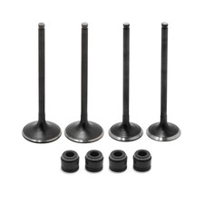 Soupapes d'échappement et