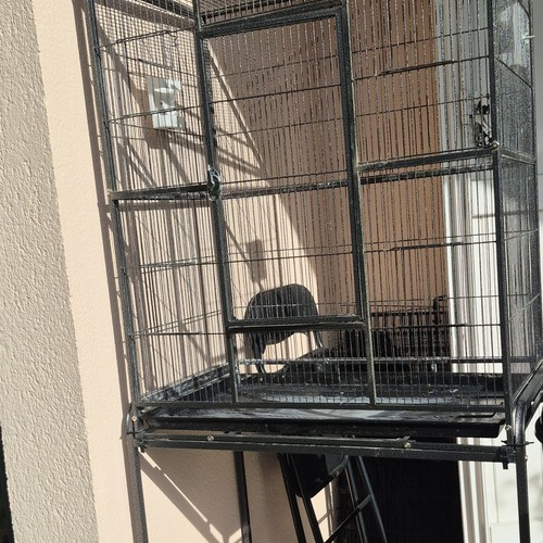 Volière cage pour oiseaux