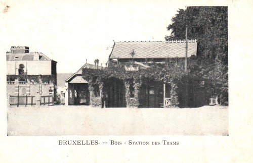 Cpa bruxelles bois - bruxelles,