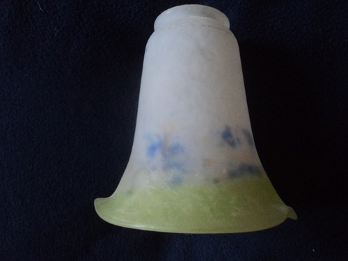 Ancienne tulipe pate de - tulipe ,
