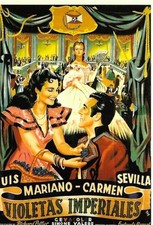 CARTE POSTALE VIOLETTES