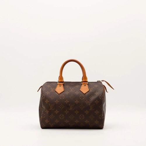 Sac main louis vuitton - main,