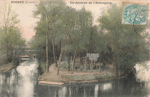 Poissy ile l esturgeon - de,