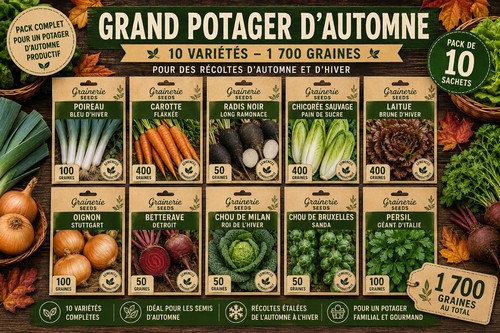 Grand potager automne - grand, d’automne–