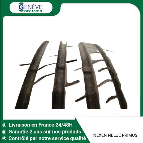 Pneu nexen nblue - 🇫🇷,