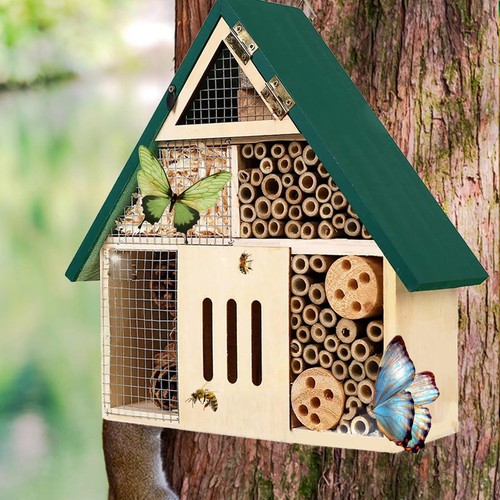 Abeille pollinisatrice - , de