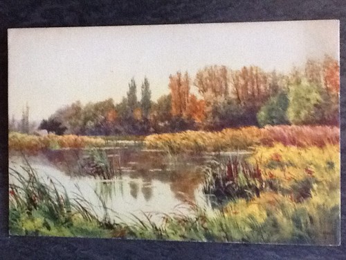 Illustree signee etang - illustree,