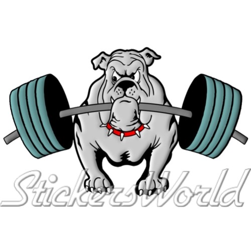 Bouledogue haltérophilie - bouledogue,