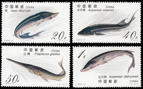 Chine 3207 1994 faune - chine, 3207/10