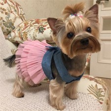Princess Dog Dress Small Pet Cat Costume Puppy Lace Skirt for Yorkie Shih Tzu