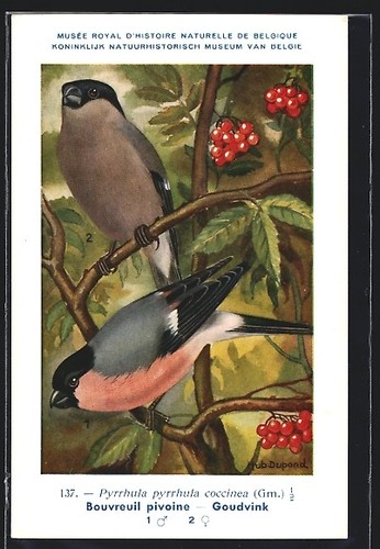 Carte postale artiste hubert - postale, d'artiste