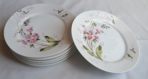 Assiettes porcelaine fin - ,