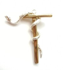 bijou maconnique chevalier du serpent d'airain 25° REAA