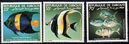 Djibouti 1981 296 298 - 1981, neuf